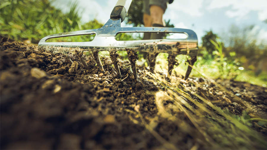 Binette pour le jardinage manche ergonomique